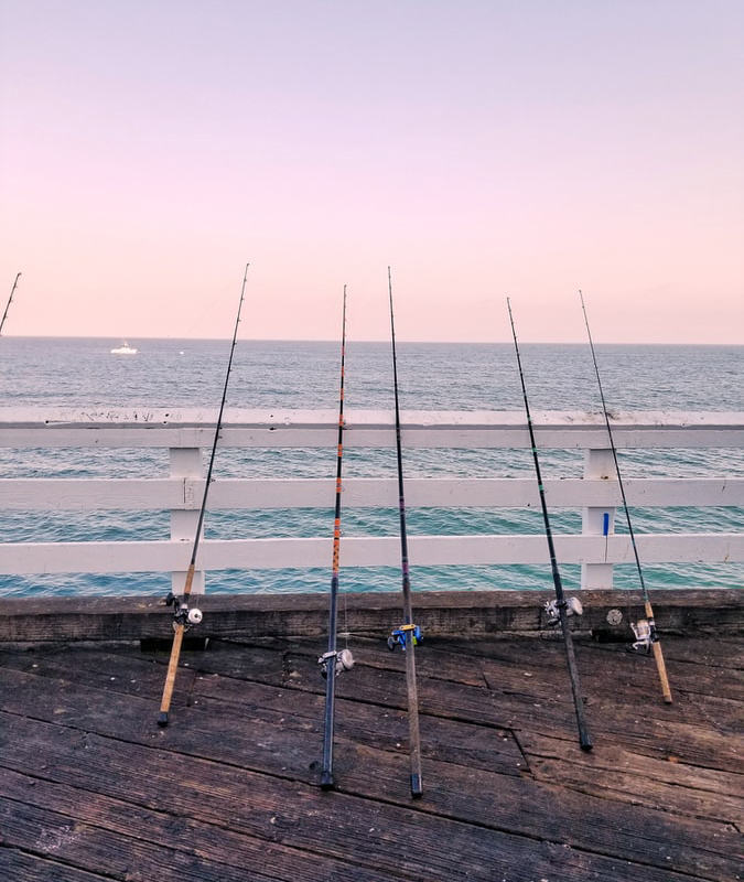 5 piece of fishing Rods with reels