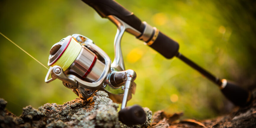 spinning reels