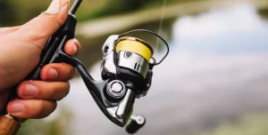 Fishing Reels