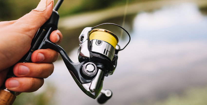 Fishing Reels